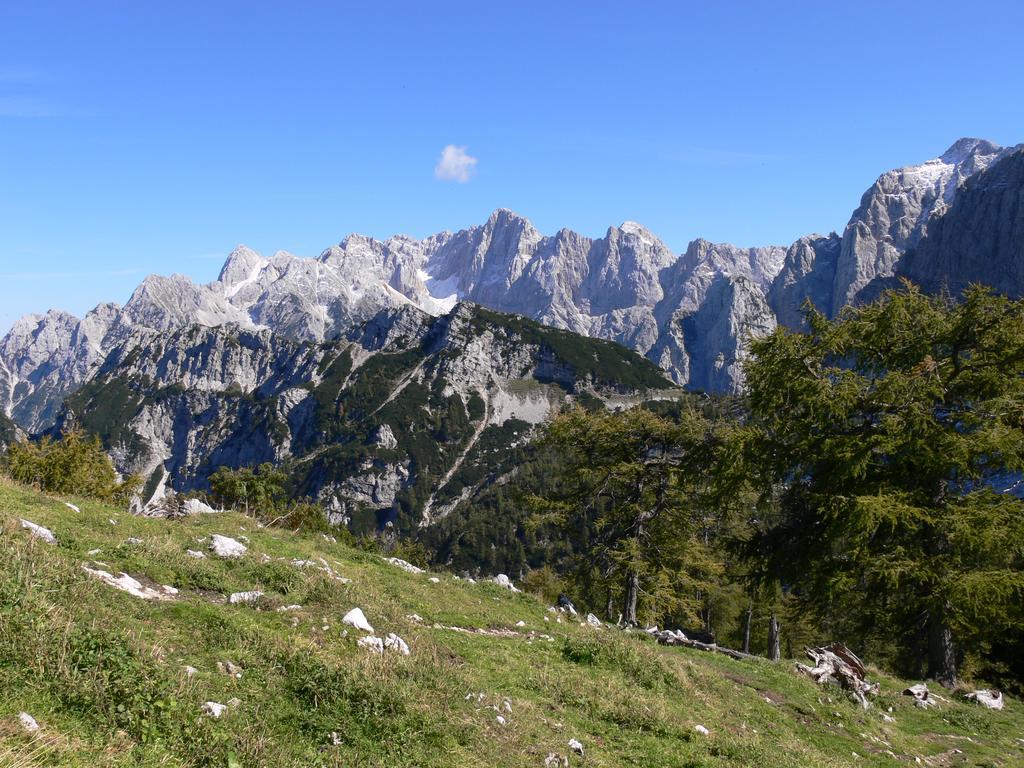 Pod Ponco Apartments Kranjska Gora Εξωτερικό φωτογραφία