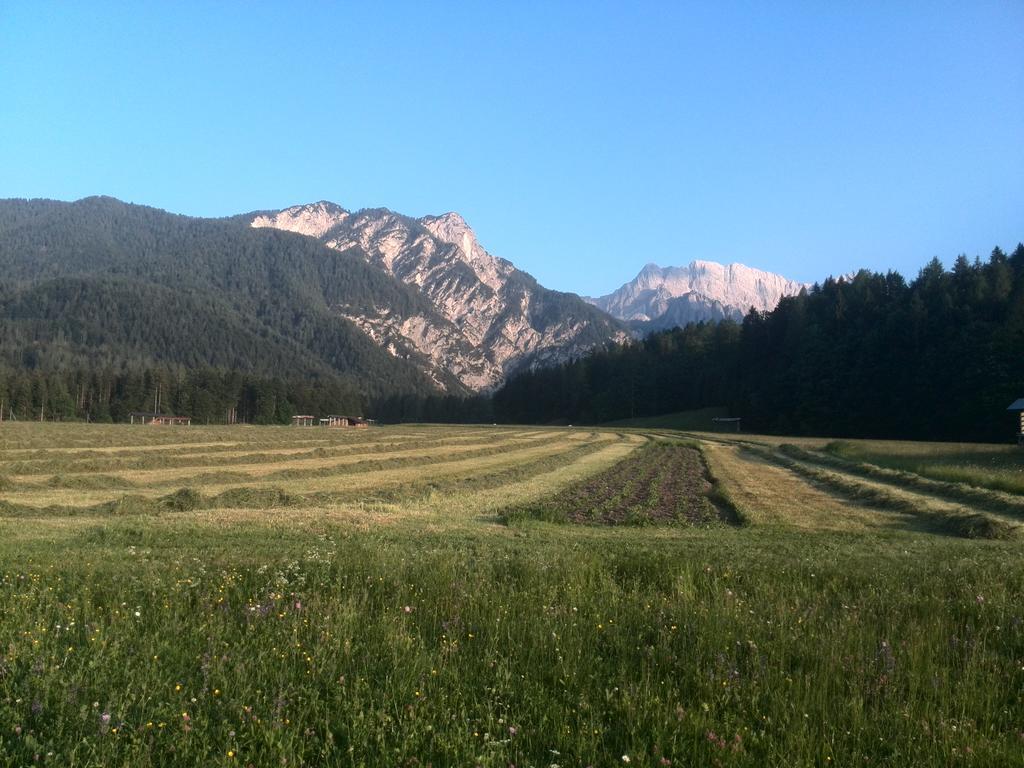Pod Ponco Apartments Kranjska Gora Εξωτερικό φωτογραφία